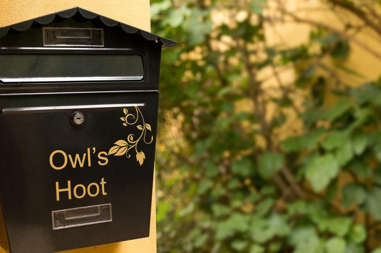 Owl'S Hoot Vila Thorndon Exterior foto